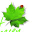 Tuindesign Lammert Kroesen