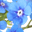 Uitvaartverzorging Myosotis
