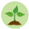 Wanneer planten