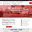 Woningontruiming Amsterdam