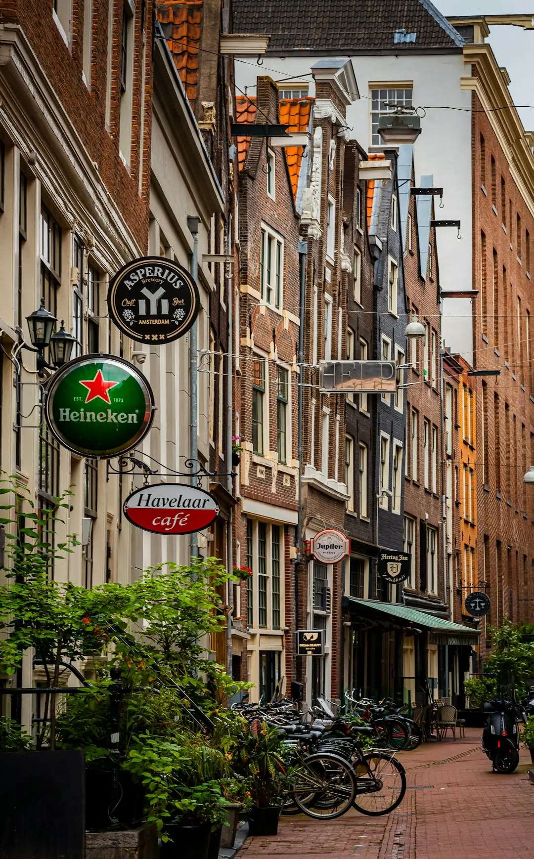 De 7 gezelligste eetcafés in Amsterdam